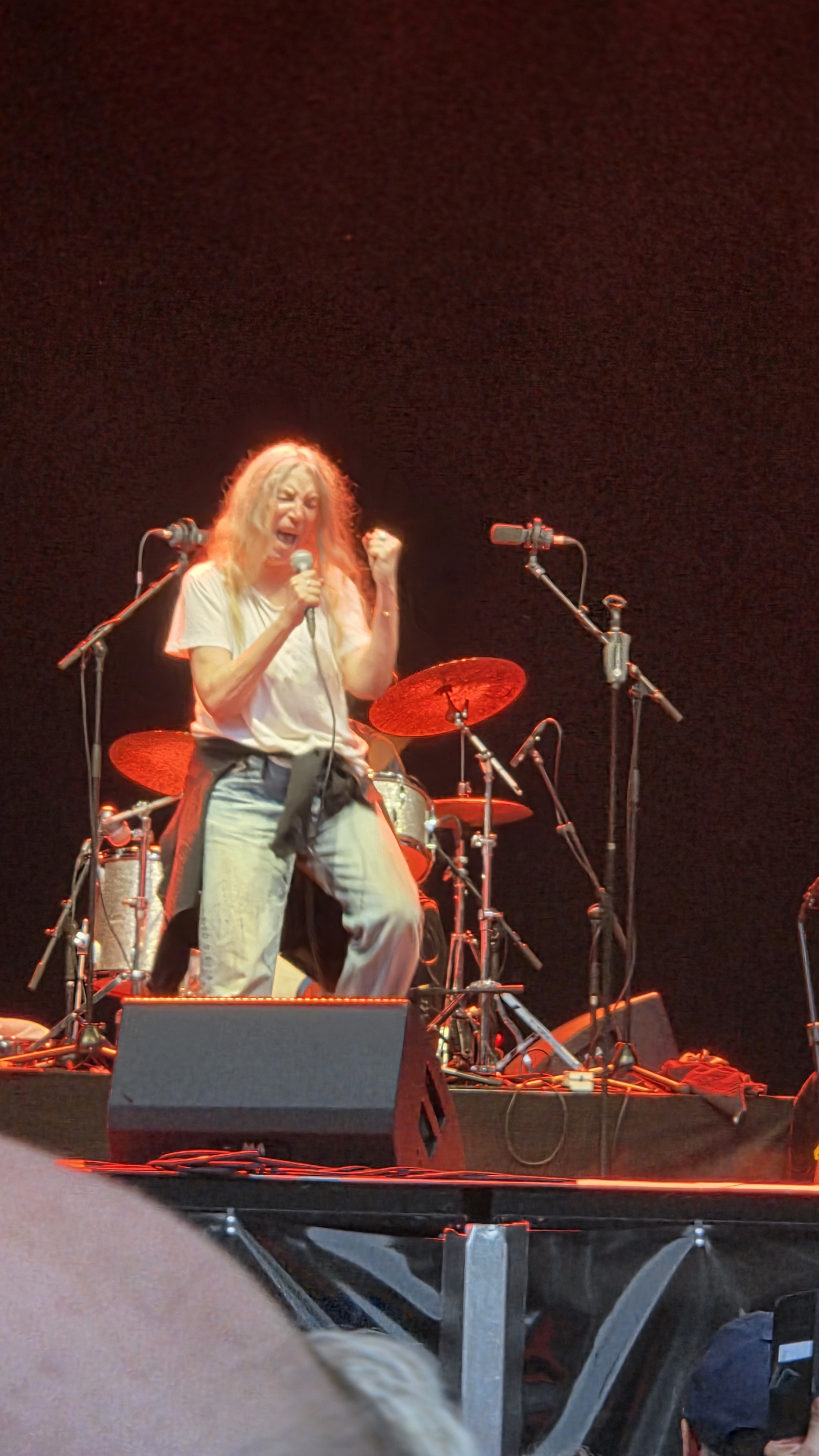 PattiSmithQuartet2025-07-01ZitadelleMainzGermany (3).jpg